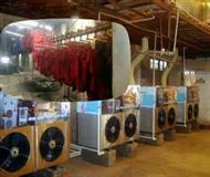 牛軍莊皮(pi)草案例簡(jian)述